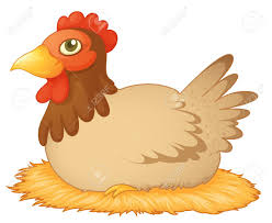 Hen Laying On A Nest Of Eggs Royalty Free Cliparts Vectors And Stock Illustration Image 13376749 Chickens on traditional free range poultry farm. hen laying on a nest of eggs