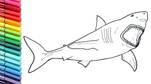 Drawing And Coloring Megalodon Shark How To Draw Dinosaurs Color Pages For Childrens Youtube Select from 35318 printable crafts of cartoons, nature, animals, bible and many more. drawing and coloring megalodon shark how to draw dinosaurs color pages for childrens