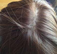 However, the hair color fades pretty quickly. Liese Bubble Hair Color Chestnut Brown Review Novocom Top