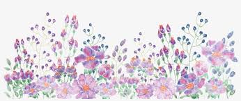 Here you can explore hq watercolor flowers transparent illustrations, icons and clipart with filter setting like size, type, color etc. Watercolor Painting Floral Design Watercolor Flower Line Png Png Image Transparent Png Free Download On Seekpng