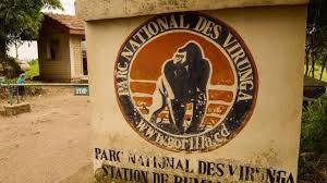 Image result for fdlr muri virunga