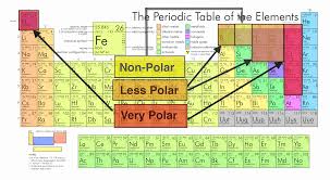 polymer guide if you seek solvation