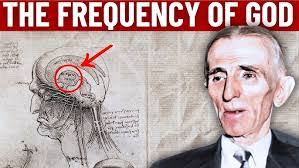 Jeffrey Liggins's Instagram, Twitter & Facebook