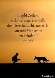 Allerdings Spruche Weisheiten Spruche Lebensweisheiten Spruche