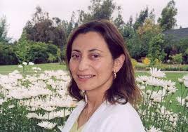 Panorama en Internet