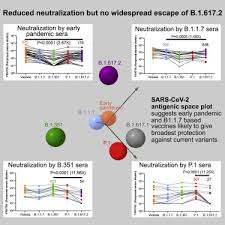 Last october was the first ever wingsuit world in china. Reduced Neutralization Of Sars Cov 2 B 1 617 By Vaccine And Convalescent Serum Sciencedirect