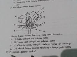 Download now kenali ragam motif ukiran jawa dewisundari com. Gambar Bagian Bunga Hitam Putih