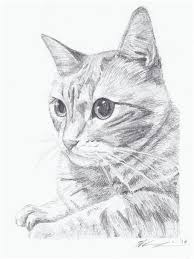 Kleurplaat hond en kat moeilijk. Katze Manga Gezeichnet Wallpaper Page Of 1 Images Free Download Katze Bstrackt Gezeichnet Schwartze Katze Gezeichnet