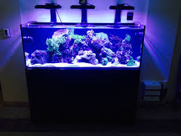 Tetra 55 gallon aquarium kit with fish tank, fish net, fish food, filter, heater and water conditioners. Pin On Aquascapez