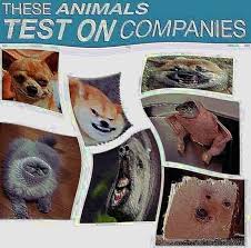 Pin By Gianna Moscato On Fooni Me Too Meme Dankest Memes Memes