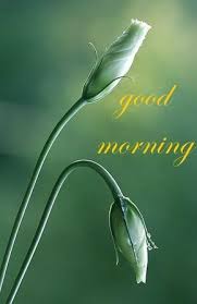 Pin On Morning