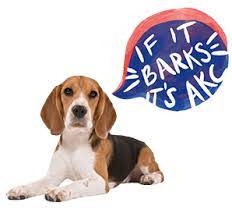 Save 10% off all essentials*. American Kennel Club