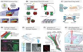 Sultan muhammad al fatih penakluk konstantinopel; Frontiers Biomedical Application Of Functional Materials In Organ On A Chip Bioengineering And Biotechnology
