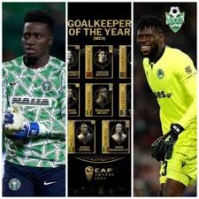 Adebayo Adeleye : Nigerians React Over Exclusion Of Goalie From CAF  Nomination List
