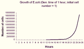 Exponential Growth