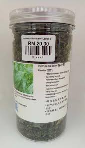 Hempedu bumi umumnya dijumpai secara liar di kawasan tanah terbuka dan kawasan yang ditumbuhi rumput. Hempedu Bumi Herba 100g Rm20 Carigold Forum