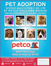 Pin By Angels Among Us Pet Rescue On All About Aau Petco Dog Adoption Pet Adoption