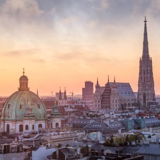 Umzug Wien