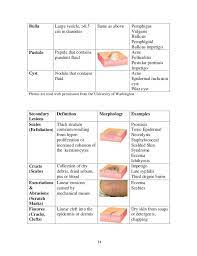 Medical Student Guide For Dermatology