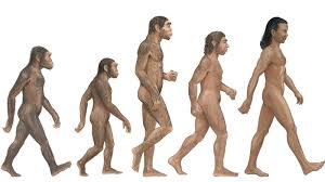 Neanderthal | Characteristics, DNA, & Facts | Britannica