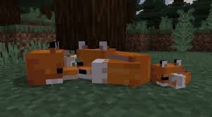 Come costruire un castello su minecraft in secondi (video tutorial). Come Addomesticare Una Volpe In Minecraft Infodrones It