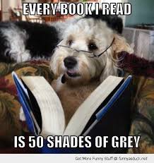 Animals Reading Books Reading Book Dog Animal 50 Shades Of Gray Animal Glasses Funny Pics Dogs Puppies Reading Books Ca Animal Books Dog Books Books
