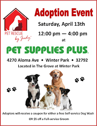 Usually known as the most difficult or most challenging part of adopting a pet, the adoption process is actually pretty easy once you get to know what to expect. Events
