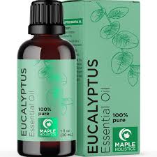 Jasmine oil (where to get it) diy treatments for hair loss with. Buy Natural Eucalyptus Essential Oil For Diffuser Therapeutic Grade Eucalyptus Essential Oils For Hair And Skin Plus Scalp Care And Chest Relief Pure Eucalyptus Oil For Diffuser Aromatherapy Oil Online