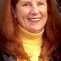 UN Association elects new board president