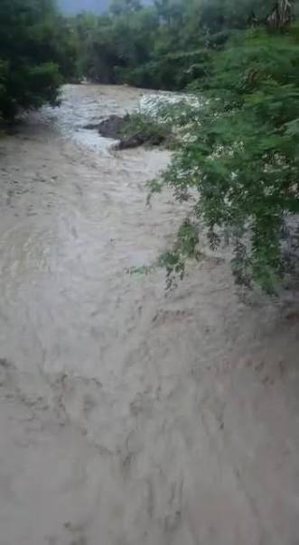 🚨 ¡IMPACTANTE CRECIDA EN REPÚBLICA DOMINICANA! 🌊 El río Barrera se desbordó por completo en el municipio de Los Ríos, Bahoruco. La corriente bajó con lodo y troncos, tapando el puente a