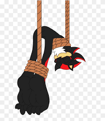 Juega un papel esencial en la regulación de la organogénesis de los vertebrados, como el crecimiento de las falanges de las extremidades y la organización del cerebro. Shadow The Hedgehog Tickling Tickle Torture Character Hedgehog Animals Sonic The Hedgehog Foot Png Pngwing