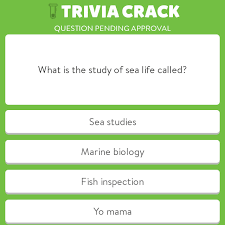 Find out with these ten biology quiz questions dedicated to (mostly) flying things. Bolton Free Library Game Night Bolton Landing Chamber Of Commerce