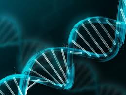 X { ' α ιθ. Biologia A Lykeioy Epal Elme Kerkyras
