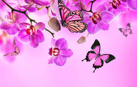 Fondos pantalla butterfly mariposas iphone fondo butterflies mariposa imagenes backgrounds femeninos bonitos azul hd galaxy paper. Wallpaper Butterfly Flowers Orchid Pink Blossom Flowers Beautiful Orchid Butterflies Images For Desktop Section Cvety Download