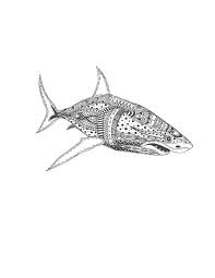 Great White Shark Coloring Page For Adults Shark Coloring Pages Beach Coloring Pages Coloring Pages