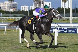 Epsom derby runners and riders for the world's greatest flat race in 2021. Wy4bzetbjoqmnm