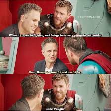 Bruce And Thor Marvel Memes Marvel Movies Fight Evil