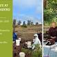 Planting and Meditation with Dharma Treasury Templ... event in Palo Alto, CA