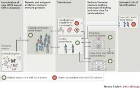 Decreased urine output children who are dehydrated might cry with few or no tears. Human Norovirus Transmission And Evolution In A Changing World Nature Reviews Microbiology