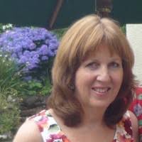 70+ "Plank" profiles