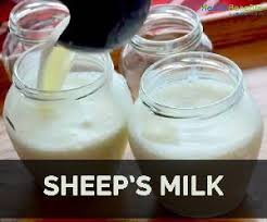 All products, milk powder, premium long life camel milk. Camel Milk Powder Buy Camel Milk Powder In Jaipur Rajasthan India From Dewasi Agro Foods