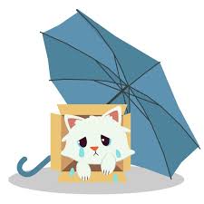 Shelter In The Rain In 2020 Cat Sitting Blue Umbrella Umbrella