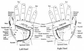 How To Use Vita Flex Points Theres An Eo For That