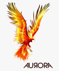 Phoenix Bird Image Png Dark Phoenix Phoenix Bird Free Transparent Clipart Clipartkey With james mcavoy, michael fassbender, jennifer lawrence, nicholas hoult. png dark phoenix phoenix bird