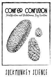 Dichotomous Key Worksheets Organism Research Station Art Project Key Creation Dichotomous Key Elementary School Science Science Resources