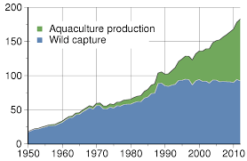 world fisheries production wikipedia