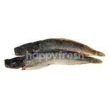 Previous episode ikan keli akar. Buy Catfish Ikan Keli At Tesco Happyfresh