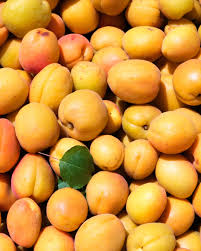 Image result for Apricot 1983 Hussmann