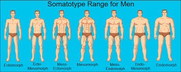 An ectomorph is a typical skinny guy. What Is Your Body Type