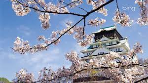 We did not find results for: Free Download Japanese Landscape Samurai Photo 14636844 1920x1200 For Your Desktop Mobile Tablet Explore 37 Japanese Cherry Blossom Wallpaper 1920x1080 Bing Cherry Blossom Wallpaper Japanese Cherry Blossoms Wallpaper Cherry